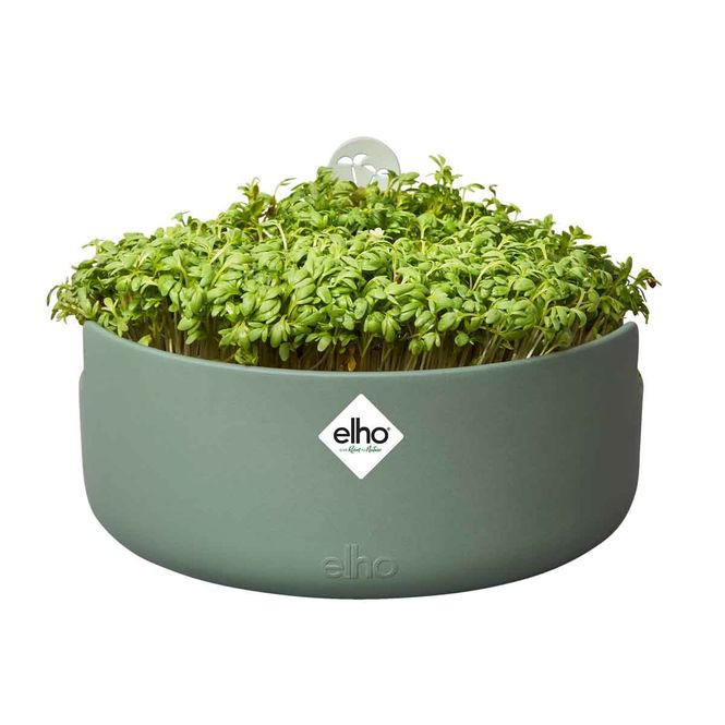 Hovedbilde Spireboks, Magic microgreens
