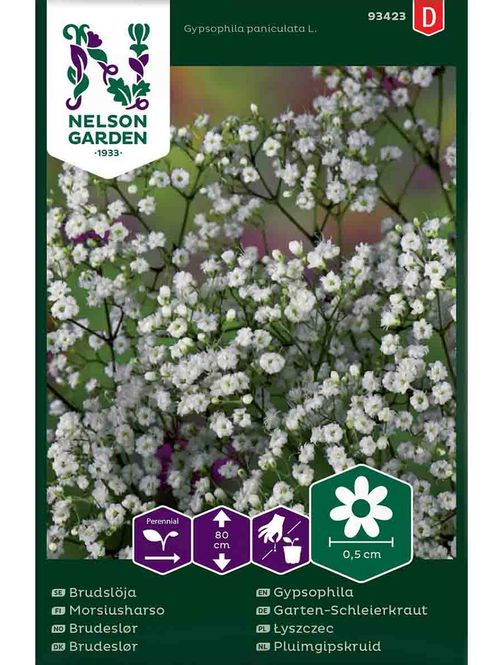 Hovedbilde Brudeslør enkel, hvit