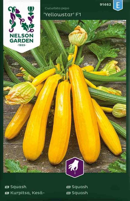 Hovedbilde Squash 'Yellowstar' F1