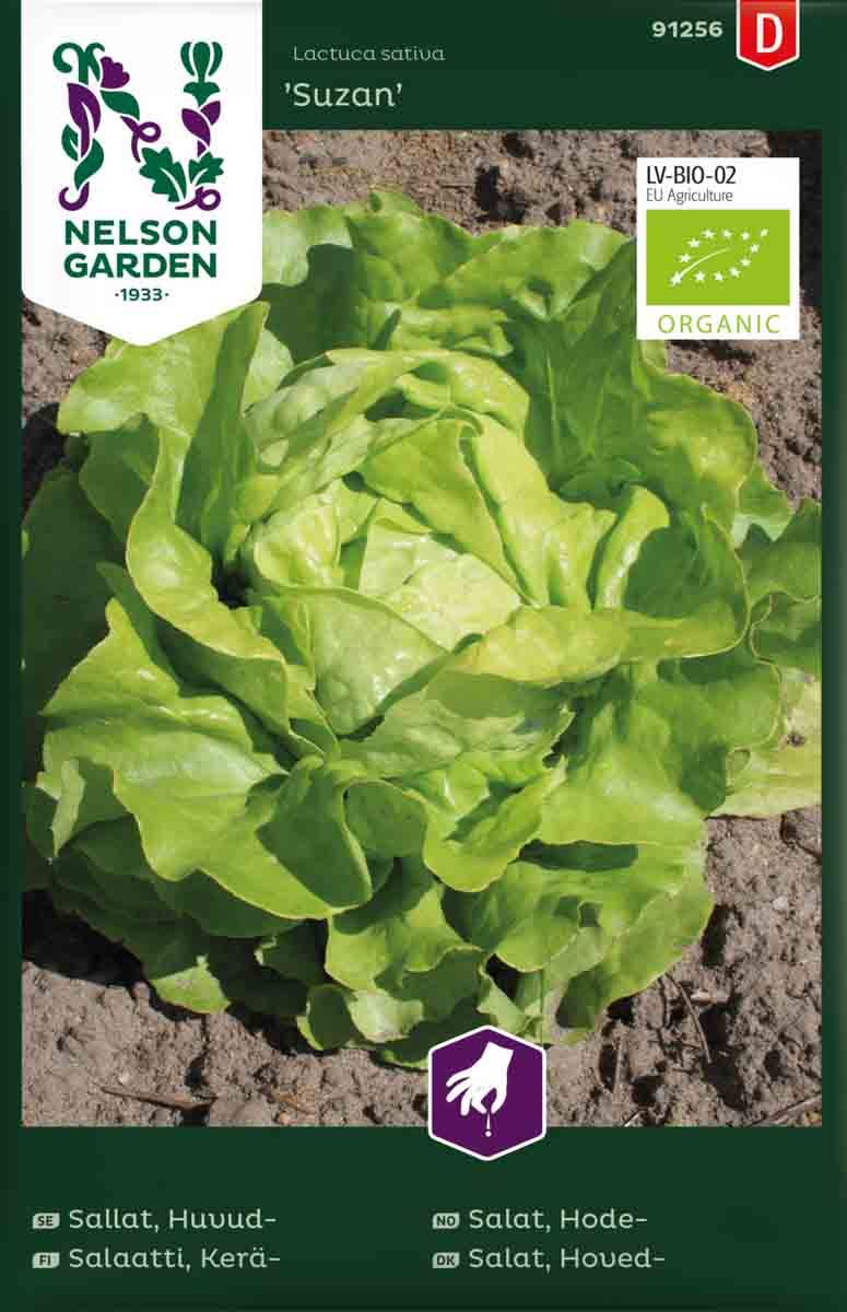 Hodesalat 'Suzan' økologisk 