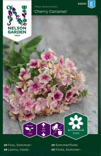 Hovedbilde Sommerfloks, 'Cherry Caramel'