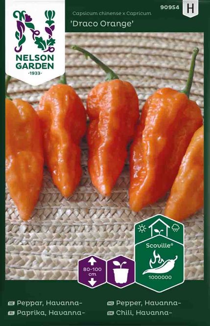 Hovedbilde Chilipepper, Havanna-  'Draco Orange'