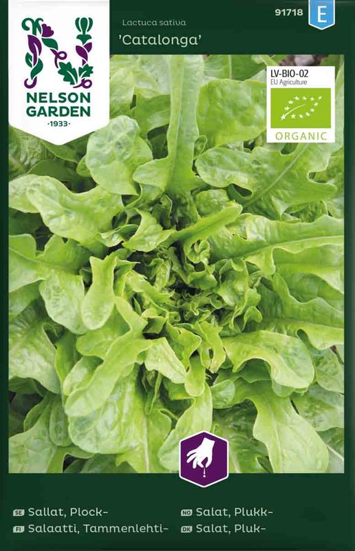 Bladsalat 'Catalonga' økologisk