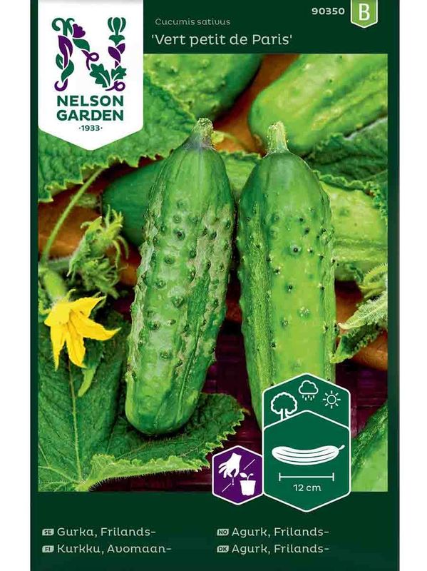 Agurk 'Vert petit de Paris'