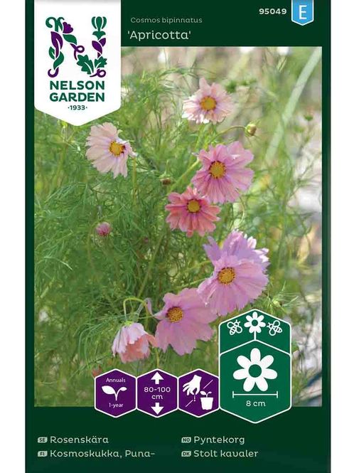 Hovedbilde Pyntekorg  'Apricotta'