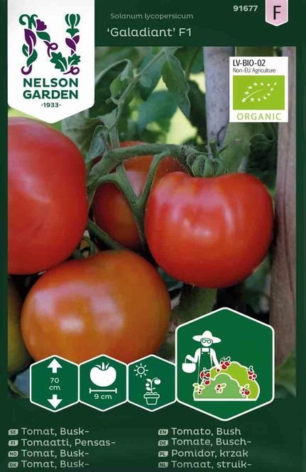 Hovedbilde Bifftomat 'Galadiant' F1, økologisk