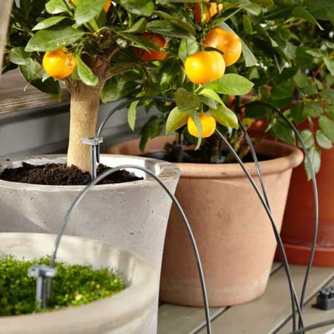 Hovedbilde Ferievannings-sett