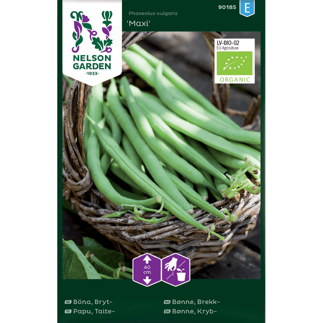 Hovedbilde Brekk-bønne 'Maxi' økologisk 
