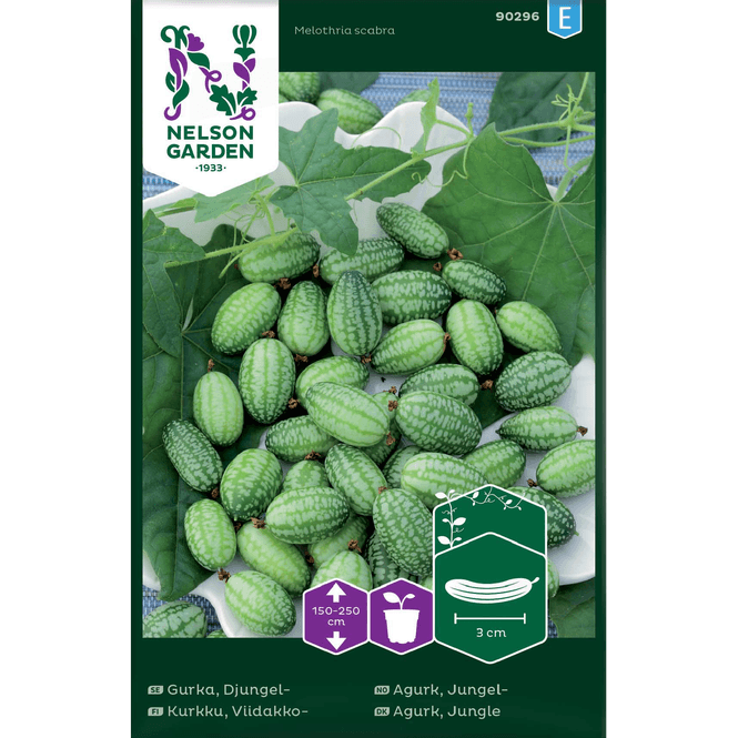 Hovedbilde Agurk, jungel- 