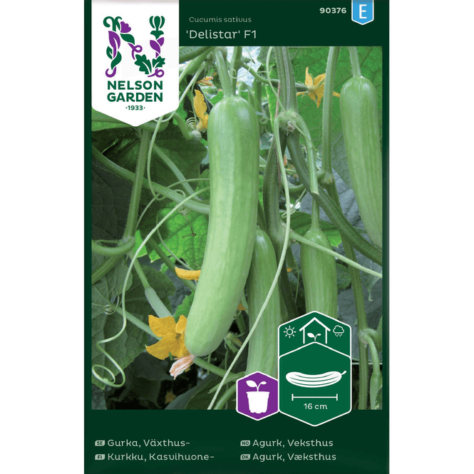 Hovedbilde Agurk, Slange- 'Delistar' veksthus