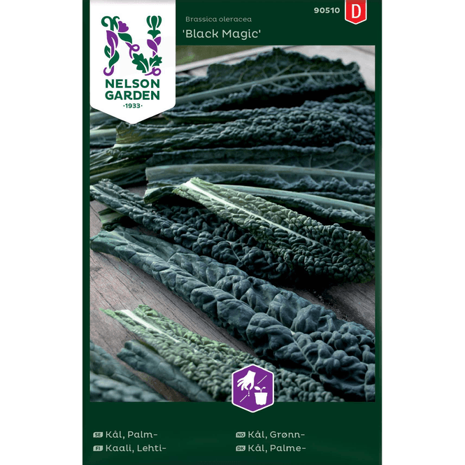 Hovedbilde Grønnkål 'Black Magic'
