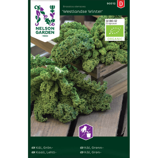 Hovedbilde Grønnkål 'Westlandse Winter' økologisk