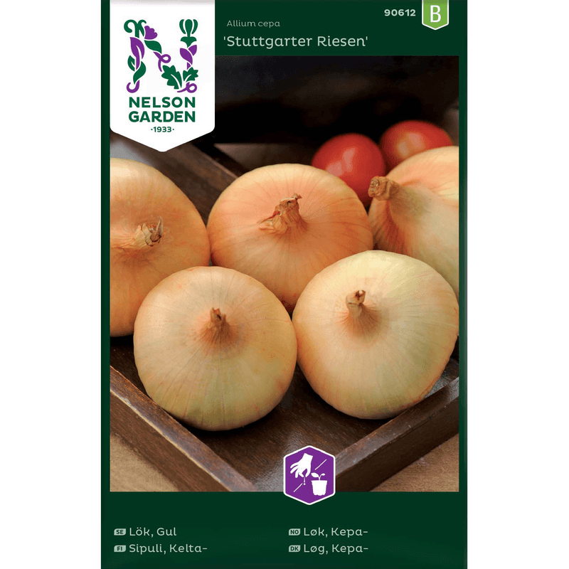 Kepaløk 'Stuttgarter Riesen' gul