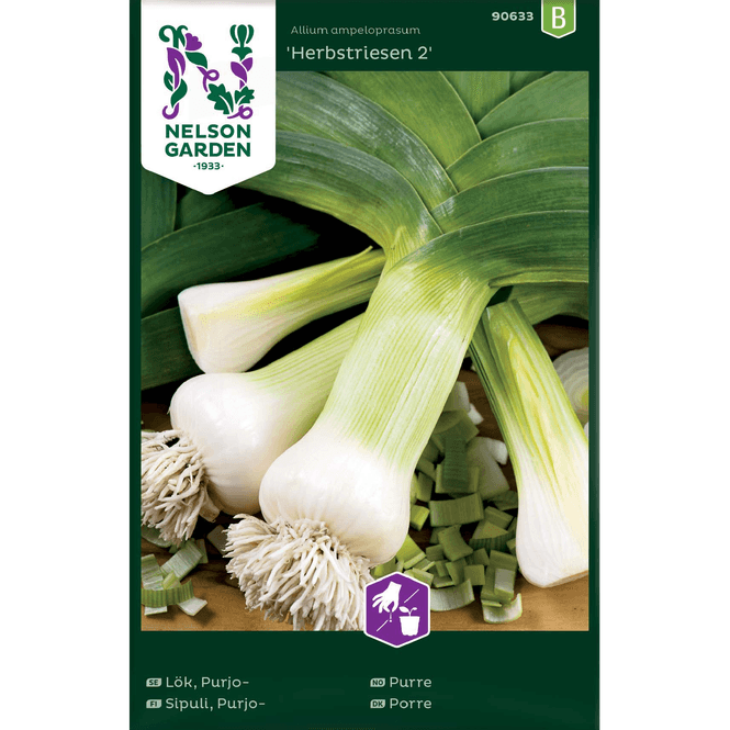 Hovedbilde Purreløk 'Herbstriesen 2' høst