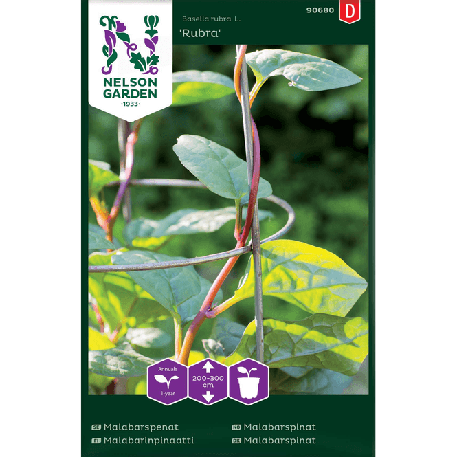 Hovedbilde Malabarspinat, Rød