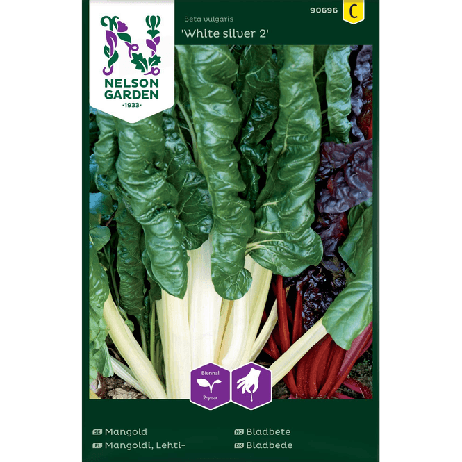 Hovedbilde Bladbete 'White silver 2'