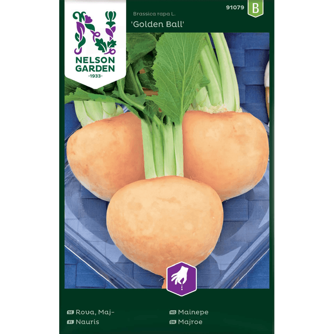 Hovedbilde Mainepe 'Golden Ball'