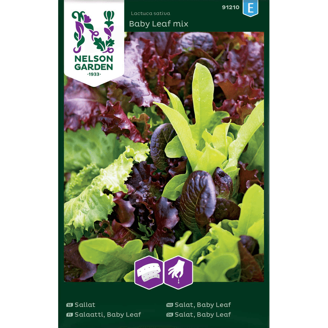 Hovedbilde Salat 'Baby Leaf' mix, frøbånd