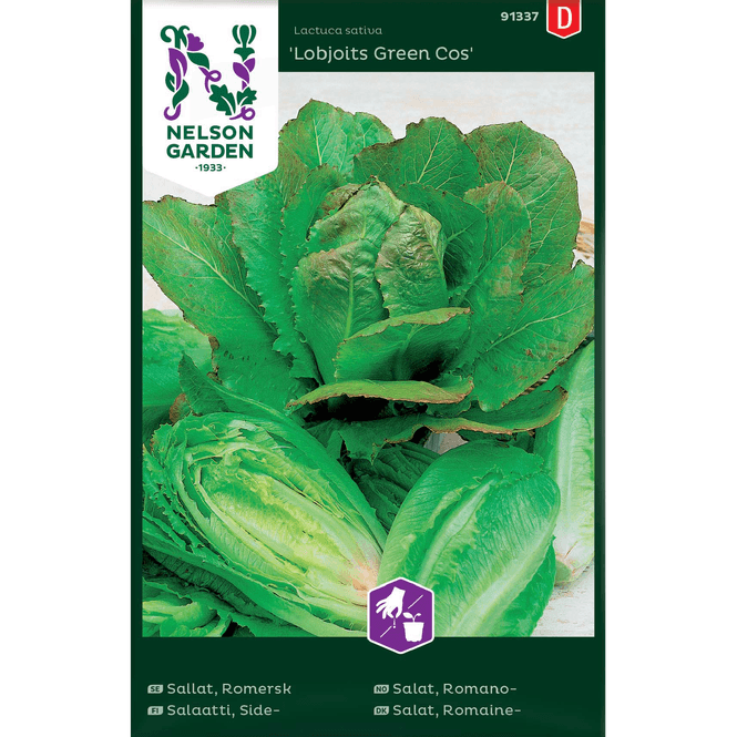 Hovedbilde Romanosalat 'Lobjoits Green Cos'