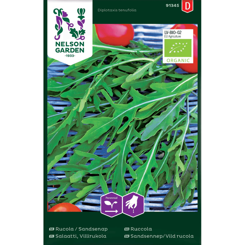 Ruccola, Sandsennep, økologisk 