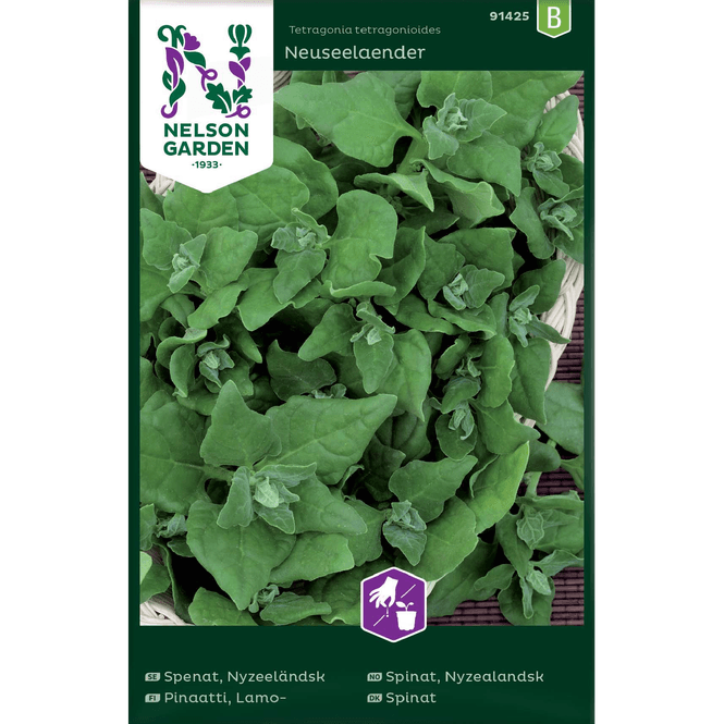Hovedbilde Spinat 'Nyzealandsk'