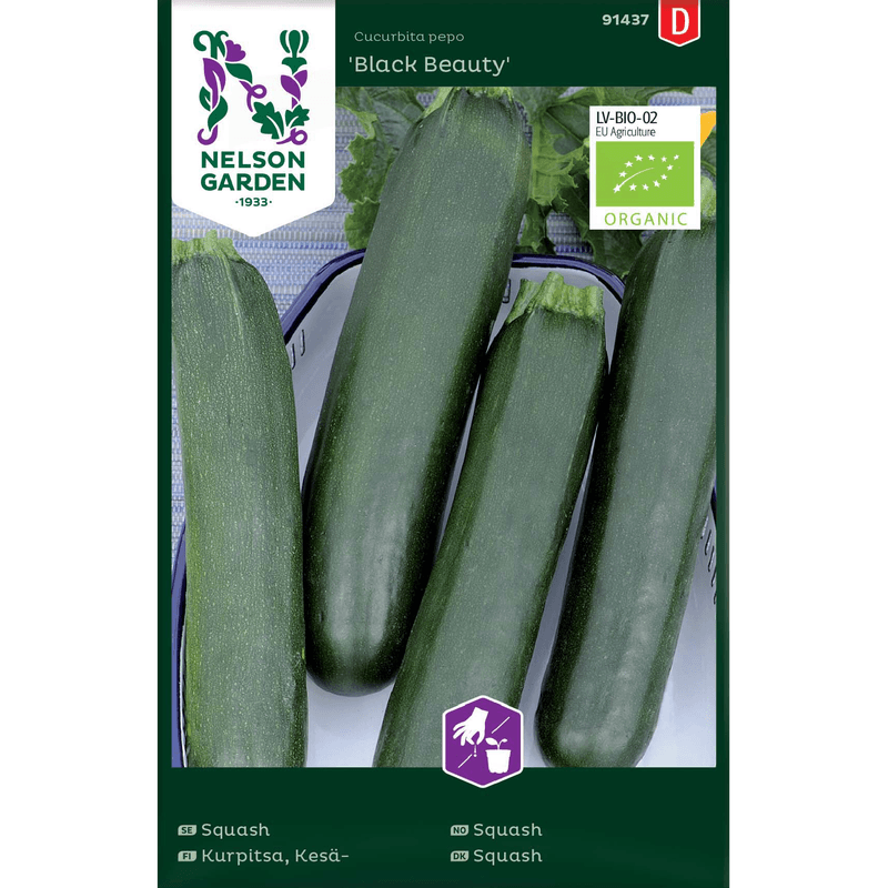 Squash 'Black Beauty' økologisk 