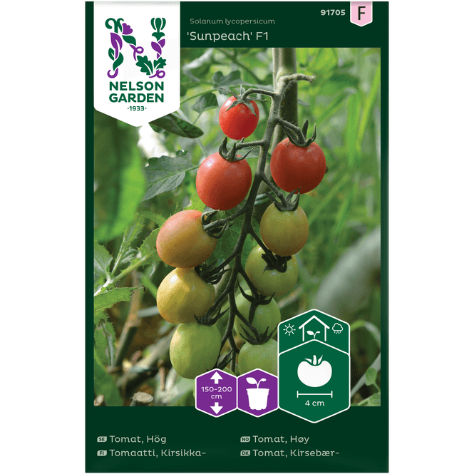 Hovedbilde Cherrytomat  'Sunpeach' F1