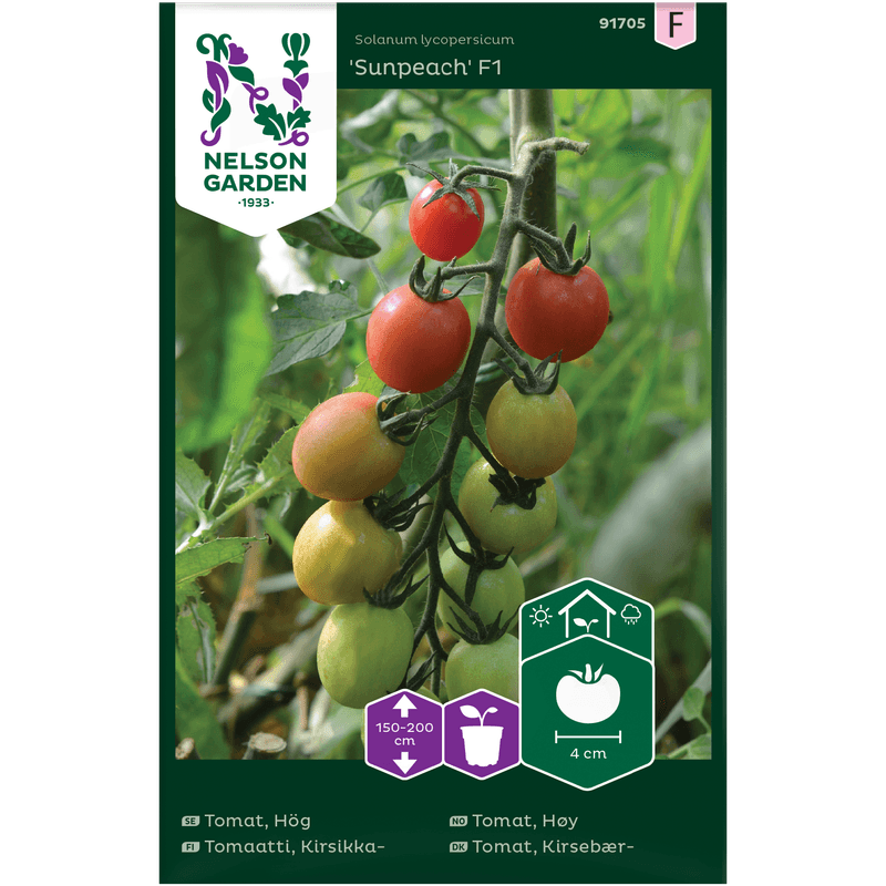 Cherrytomat  'Sunpeach' F1