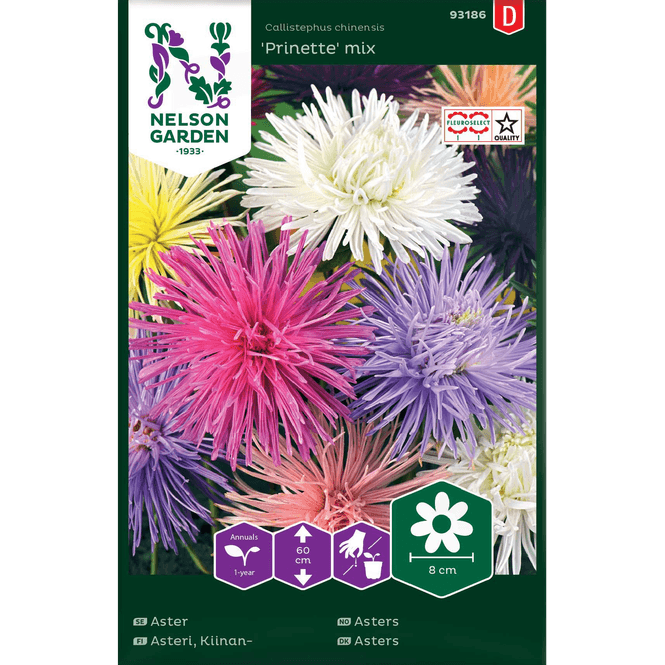 Hovedbilde Asters 'Prinette' mix