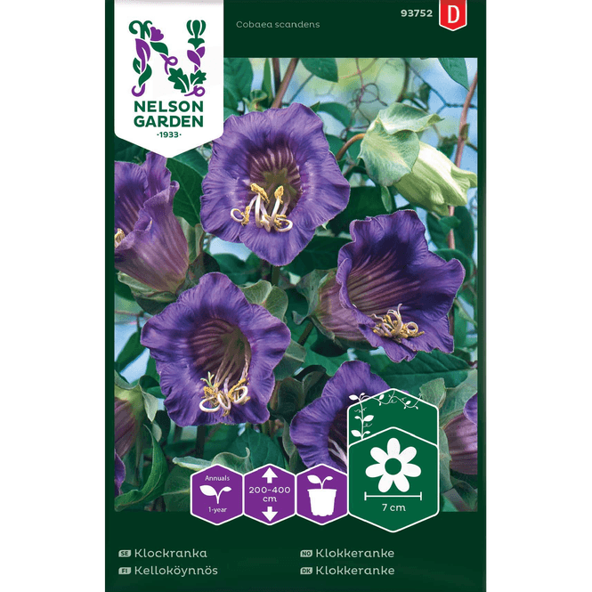 Hovedbilde Klokkeranke blå