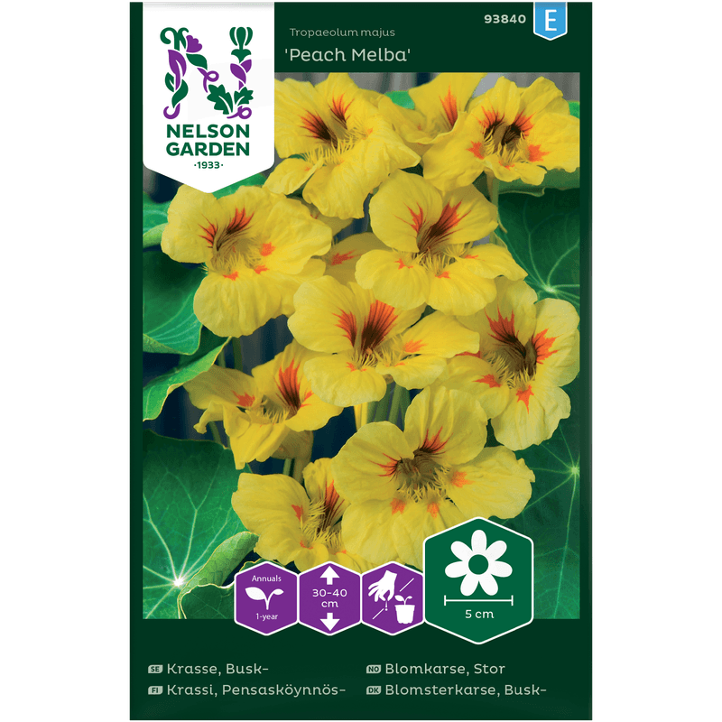 Blomkarse Stor, 'Peach Melba'