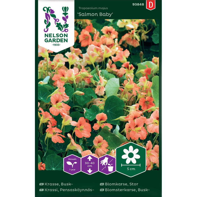 Blomkarse Stor, 'Salmon Baby'  lakserosa