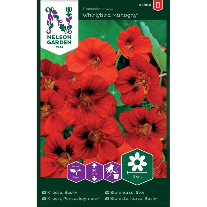 Hovedbilde Blomkarse Stor, 'Whirlybird Mahogny'