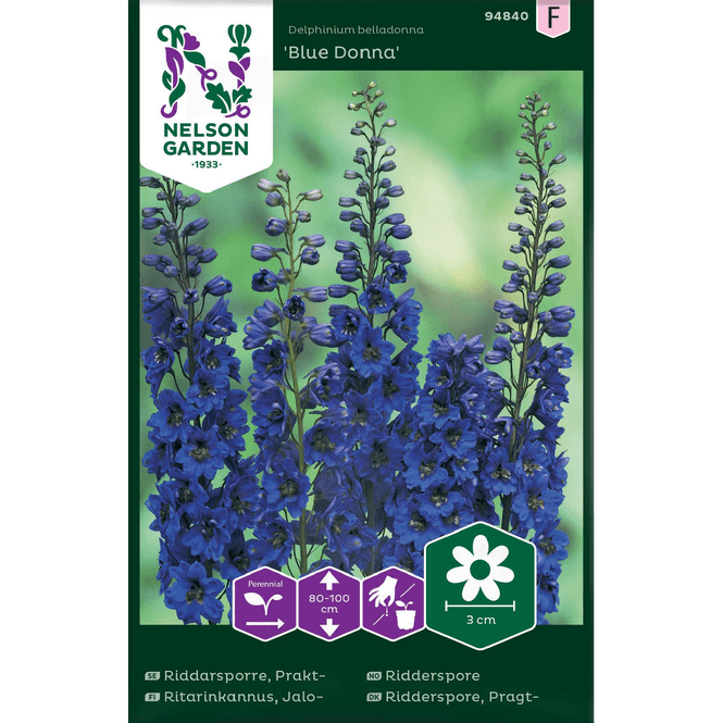 Hovedbilde Ridderspore 'Bella Donna'