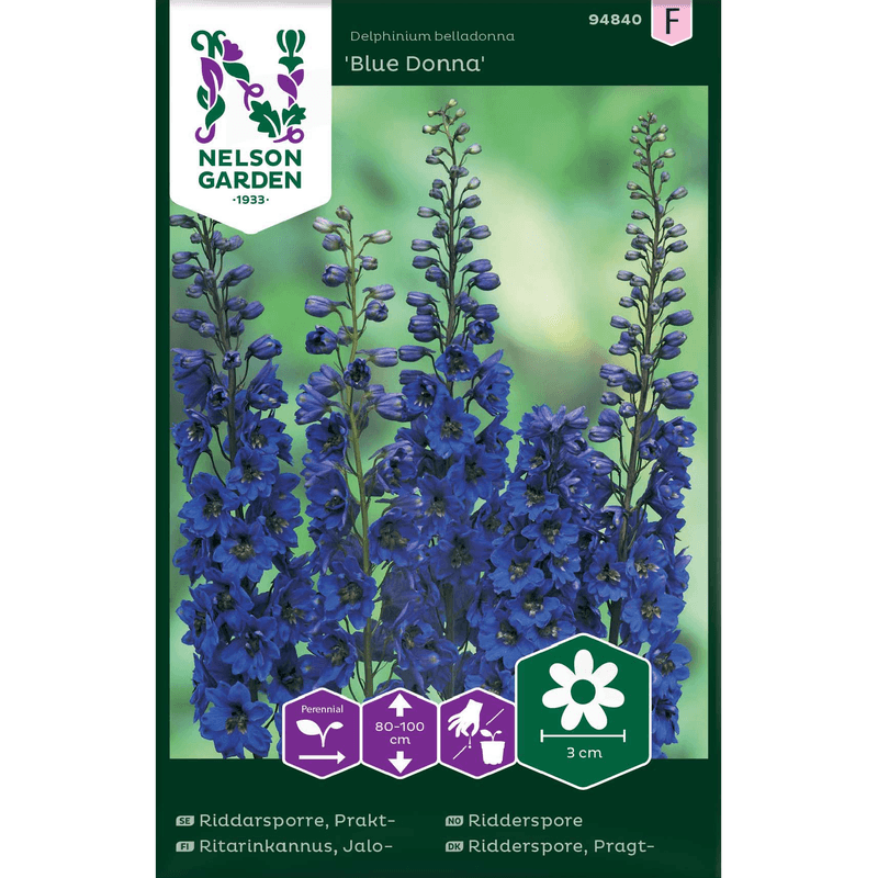 Ridderspore 'Bella Donna'