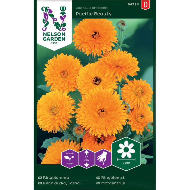 Hovedbilde Ringblomst 'Pacific Beauty' blandede farger