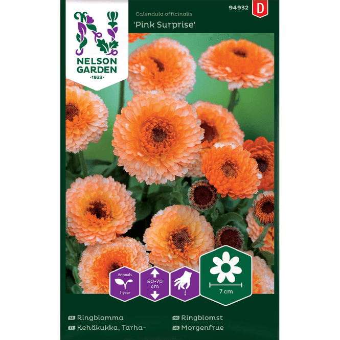 Hovedbilde Ringblomst 'Pink Surprise'