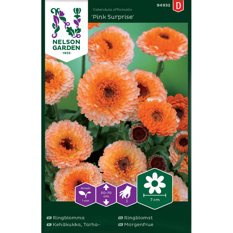 Ringblomst 'Pink Surprise'