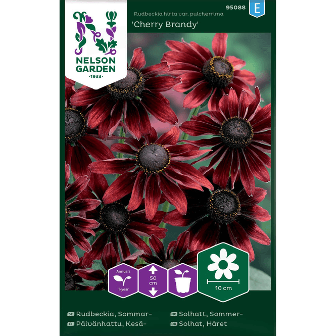 Hovedbilde Sommersolhatt  'Cherry Brandy'