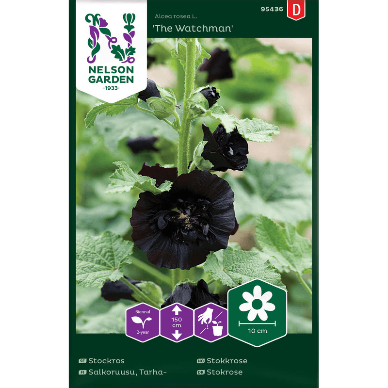 Stokkrose 'The Watchman' svartrød