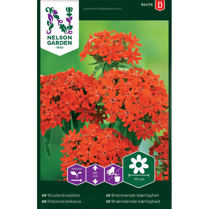 Hovedbilde Brennende kjærlighet, rød