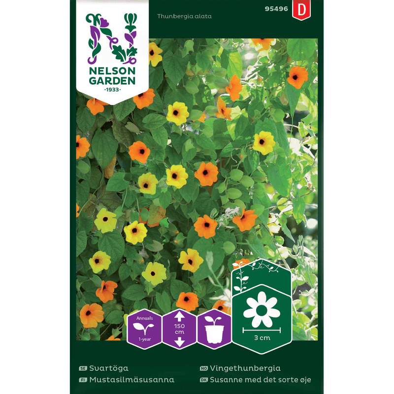 Vingethunbergia, blandede farger