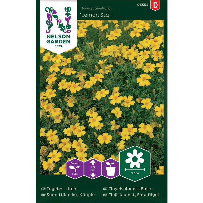 Buskfløyelsblomst 'Lemon Star'