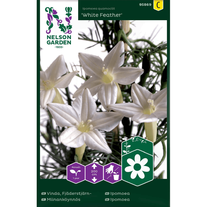 Hovedbilde Vindel - Ipomoea 'White Feather'