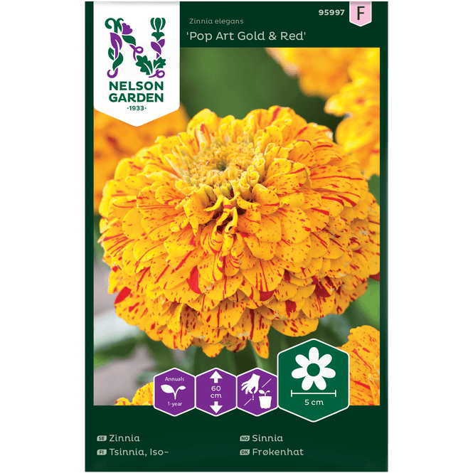 Hovedbilde Sinnia  'Pop Art Gold & Red' høy