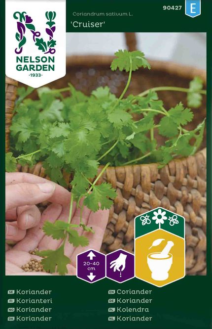 Hovedbilde Koriander 'Cruiser'