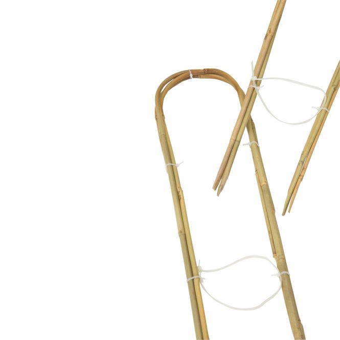 Hovedbilde Bambusbuer, 3-pk