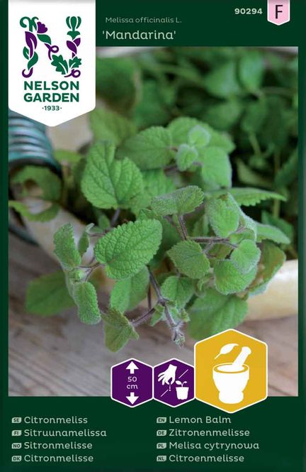 Hovedbilde Sitronmelisse 'Mandarina'