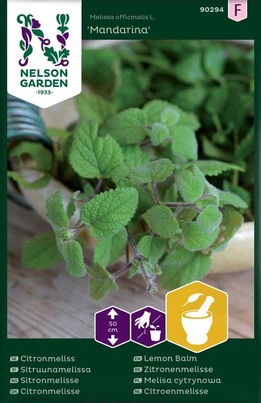 Sitronmelisse 'Mandarina'