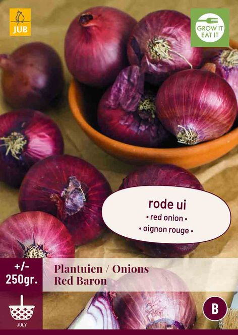 Hovedbilde Rødløk 'Red Baron' 250 gram - setteløk